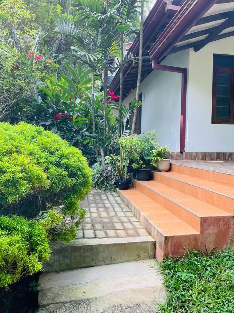 Chami'S Home Stay Mirissa Esterno foto