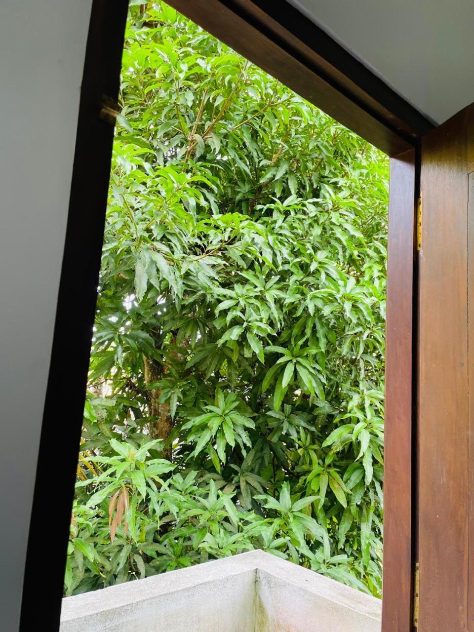 Chami'S Home Stay Mirissa Esterno foto
