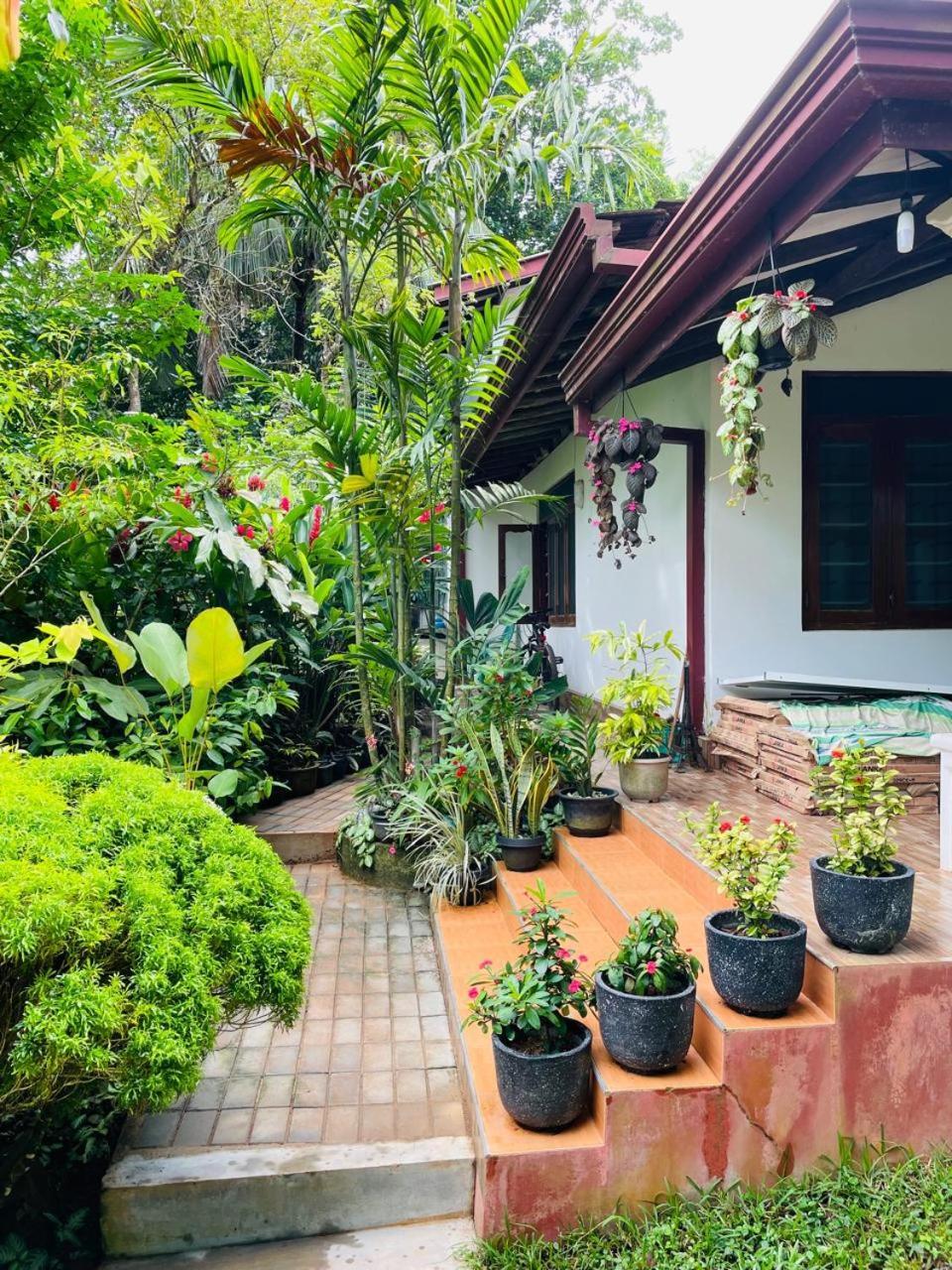 Chami'S Home Stay Mirissa Esterno foto